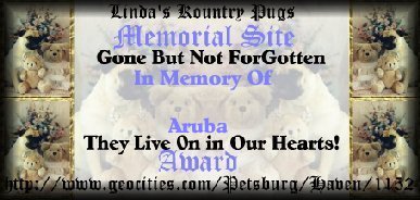 Pug Award for Aruba