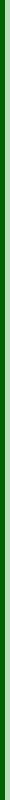 Top Border #1