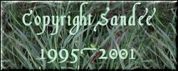 Copyright Sandee Scott Fritzen