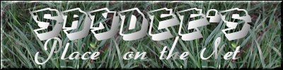 Sandees Place on the Net